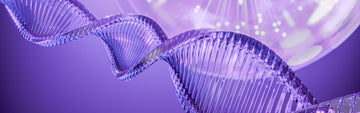 PDRN – A powerful skin regeneration booster
